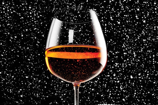 18-roses-of-winter.w529.h352