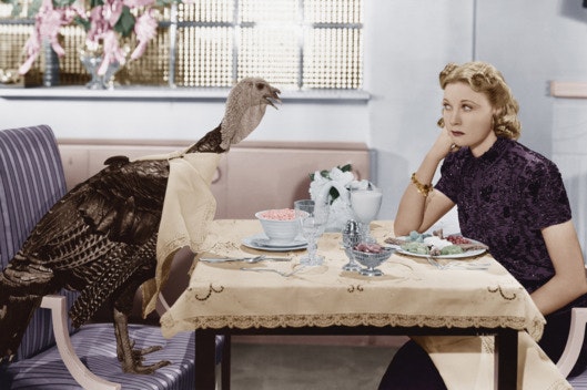 20-lazy-thanksgiving.w529.h352