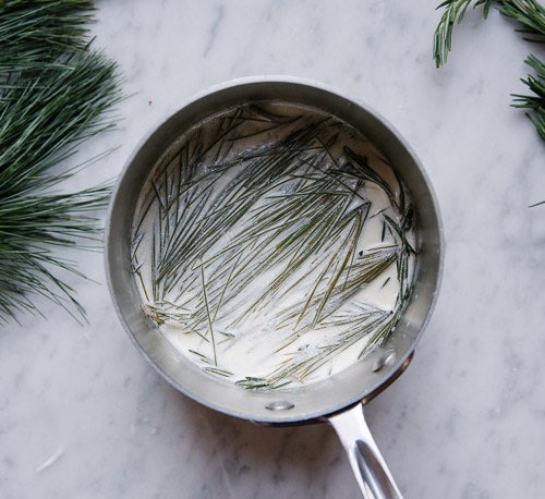 2014026-foraged-pineinpot