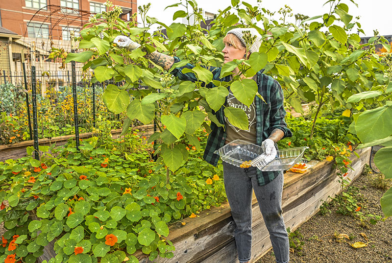 a man standing in a garden
