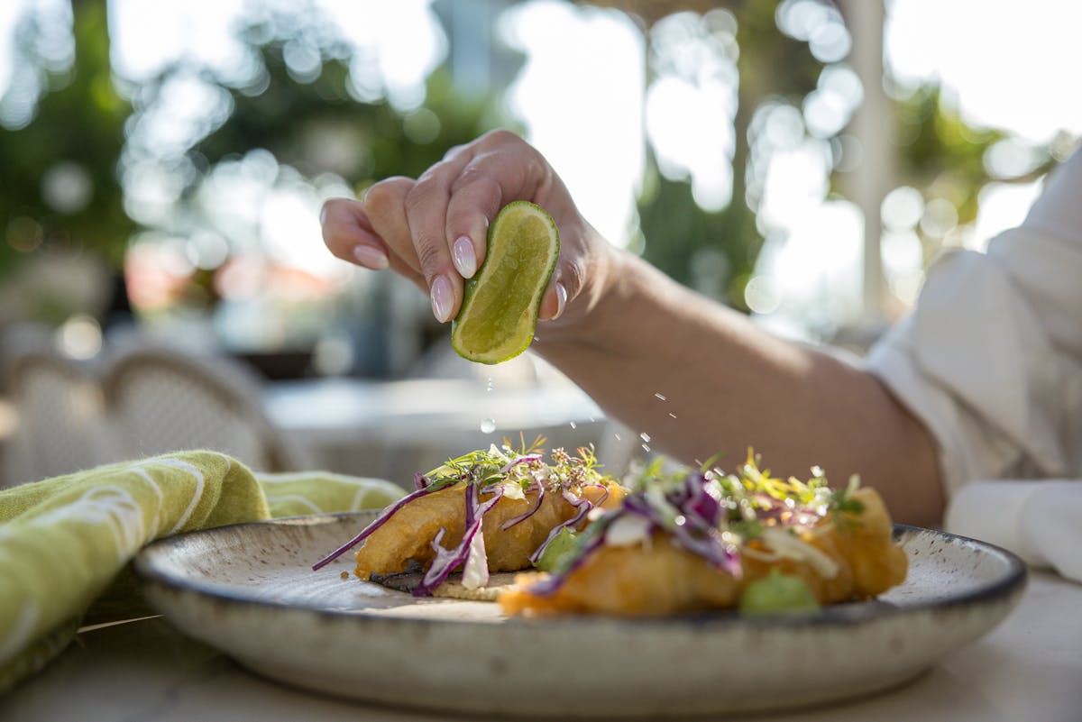 a close up of a person holding a plate of food