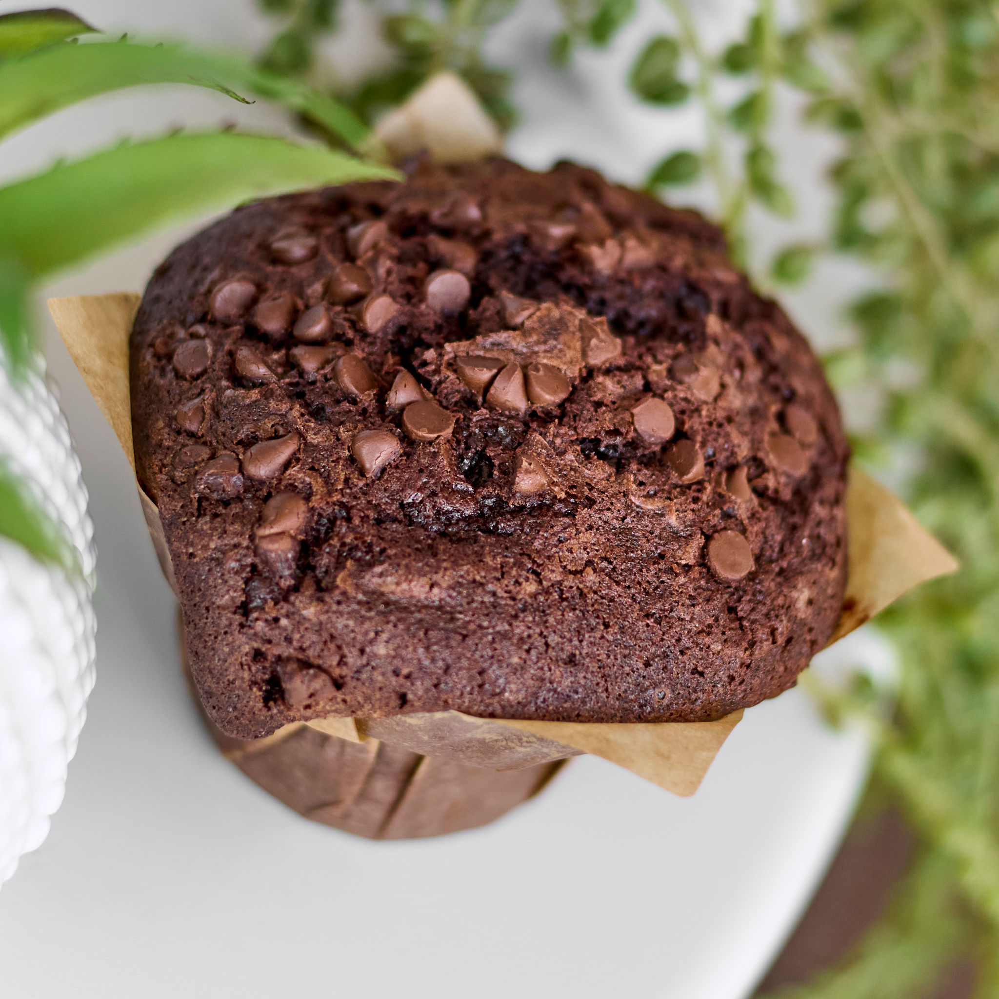 a close up of a piece of cake on a plate