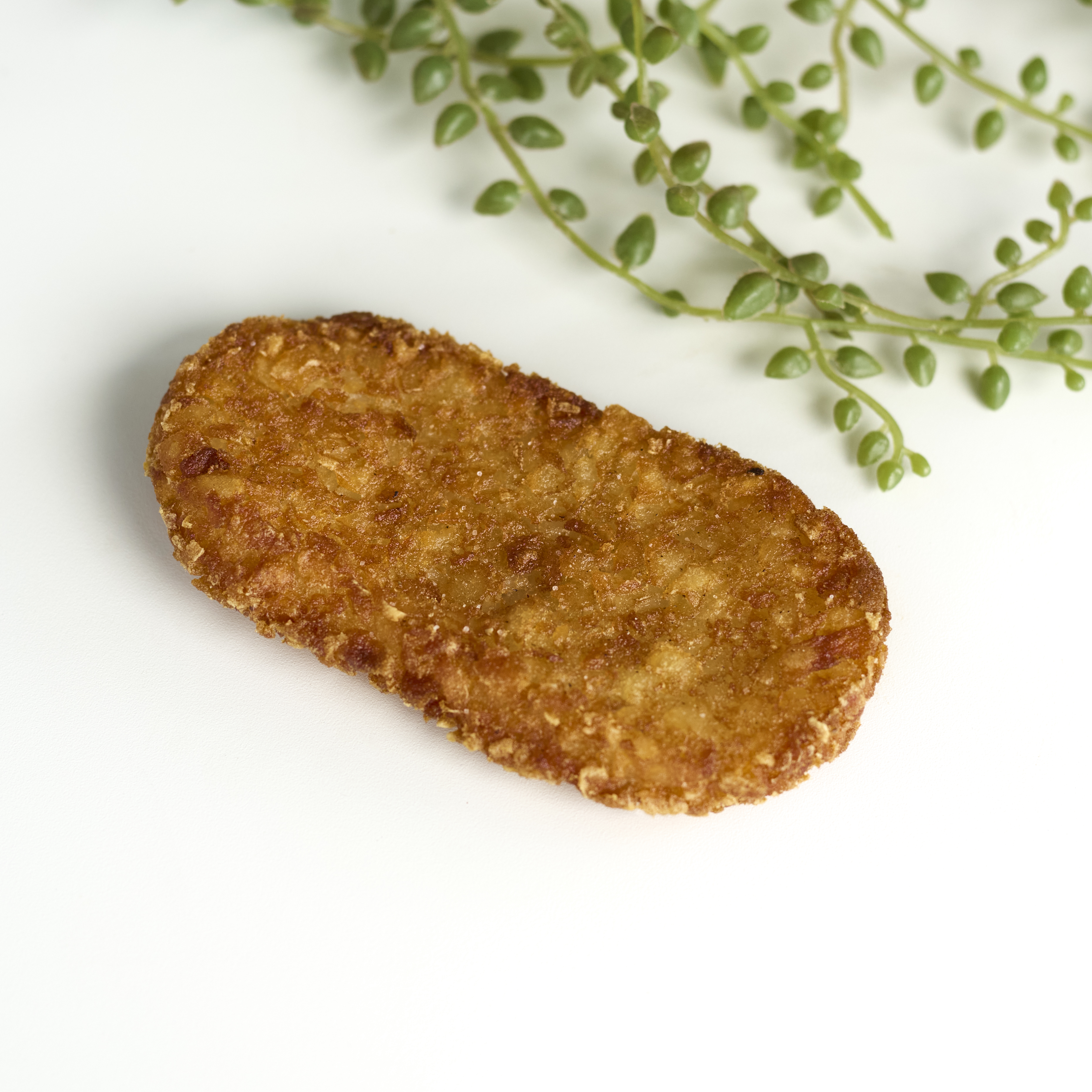 a close up of food