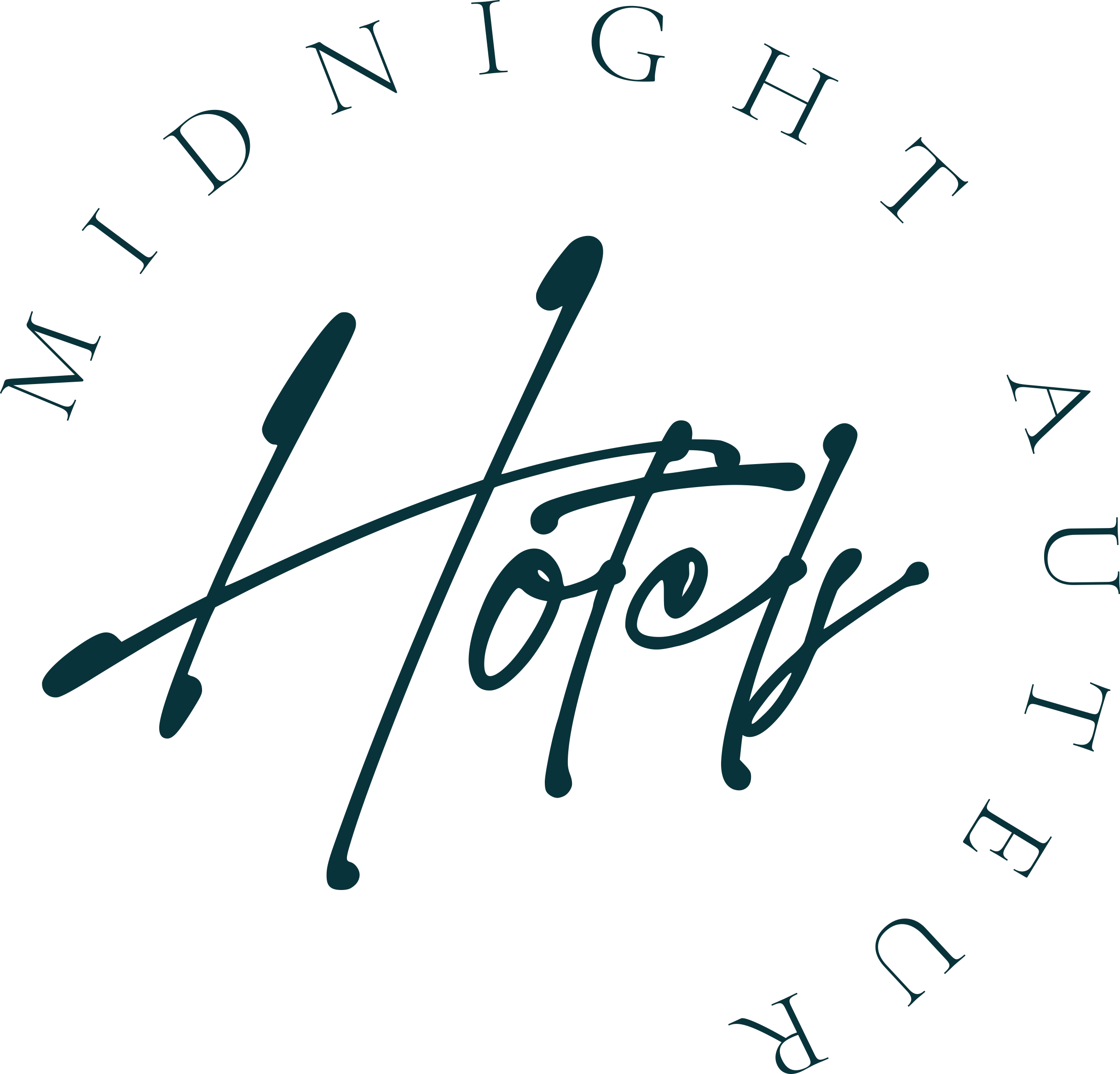 midnight-svg-stunning-script-fonts-creative-market