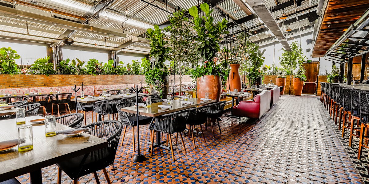 Dallas Vidorra in Dallas, TX