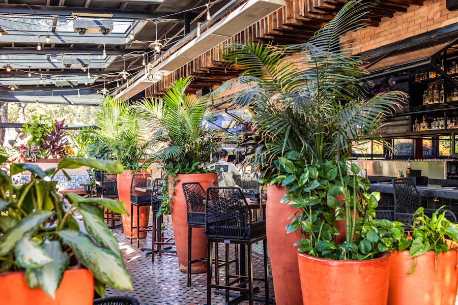 The Patio Addison Vidorra