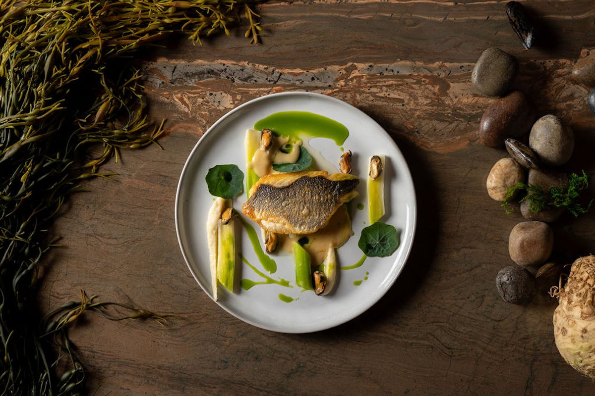 a plate of food on a table