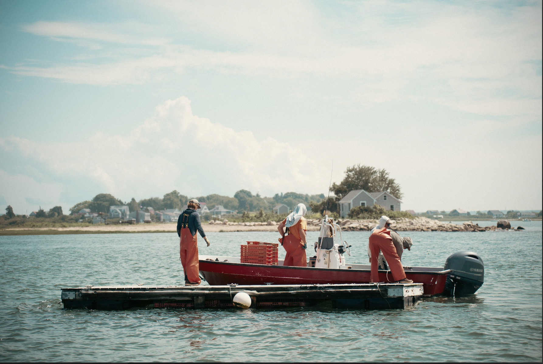 a plate of food on a table