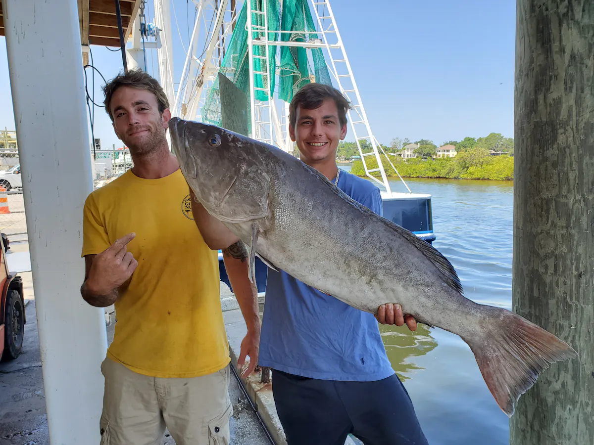 two men holding a giant fish 