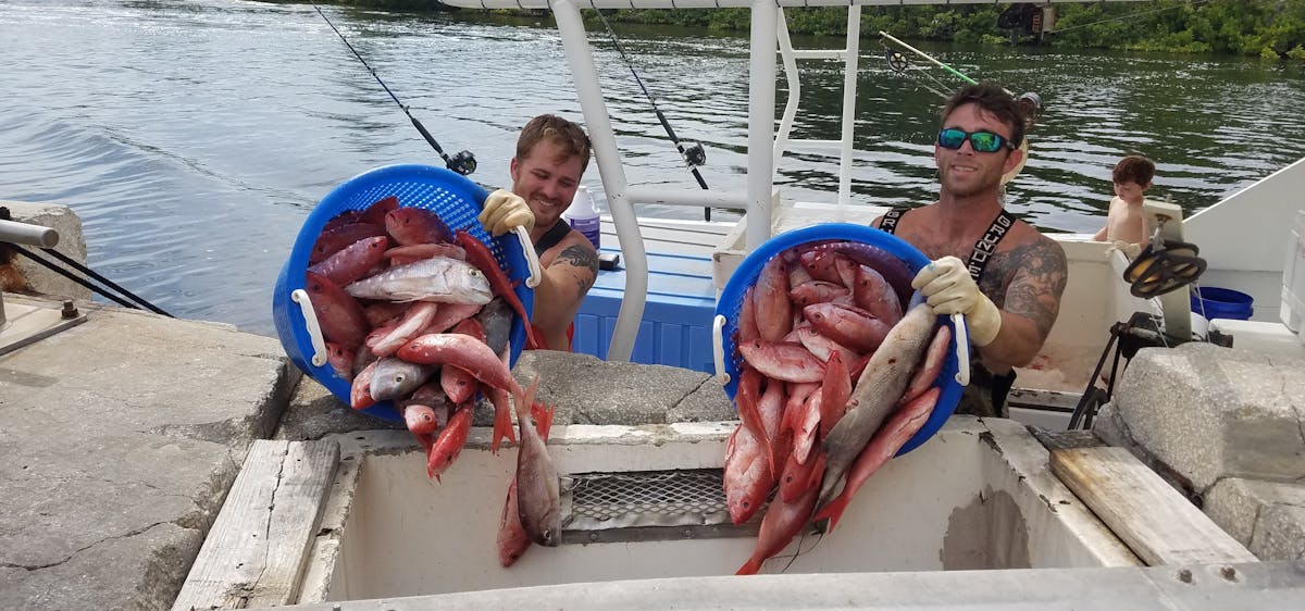 Specials Pelican Point Seafood in Tarpon Springs, FL