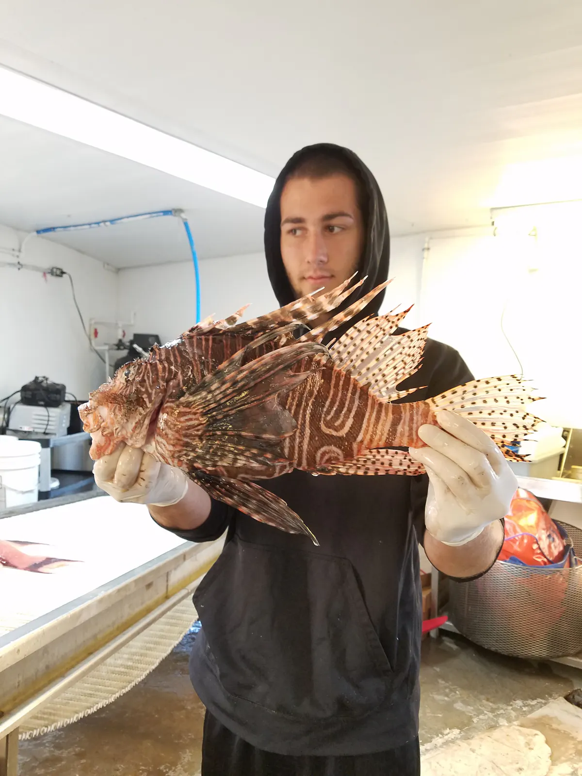a man holding a big fish