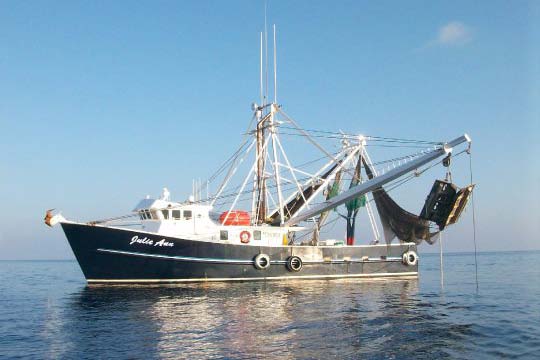Shop | Pelican Point Seafood in Tarpon Springs, FL