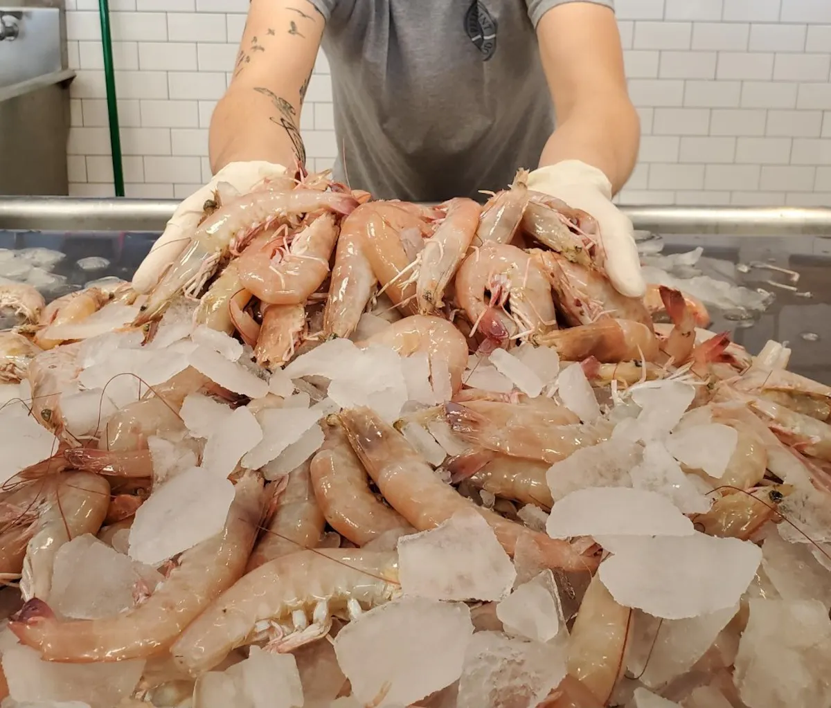 a person holding a crab