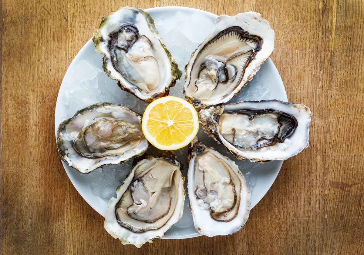 oysters on the half shell at sonsie