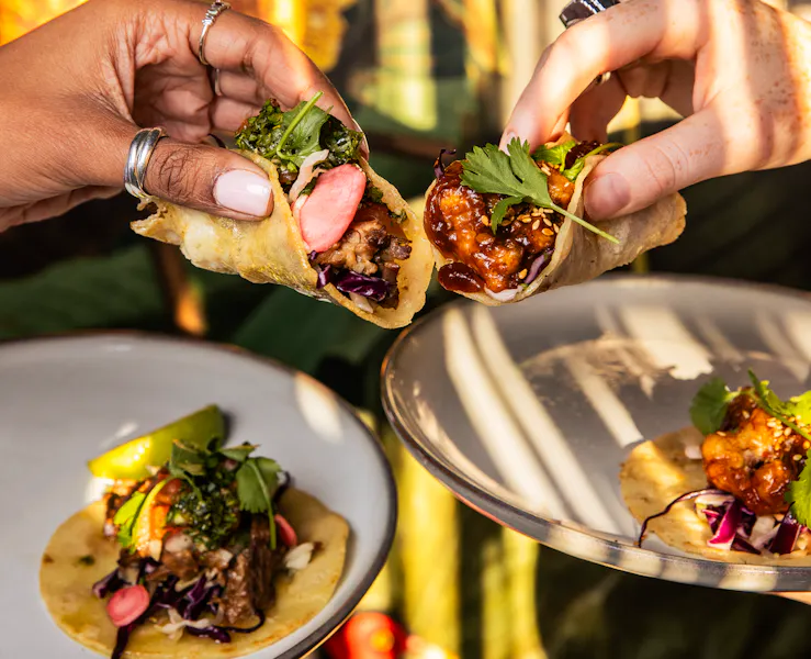 Happy Hour | Treehouse | Rooftop Bar in Washington, DC