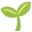 🌱