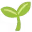 🌱