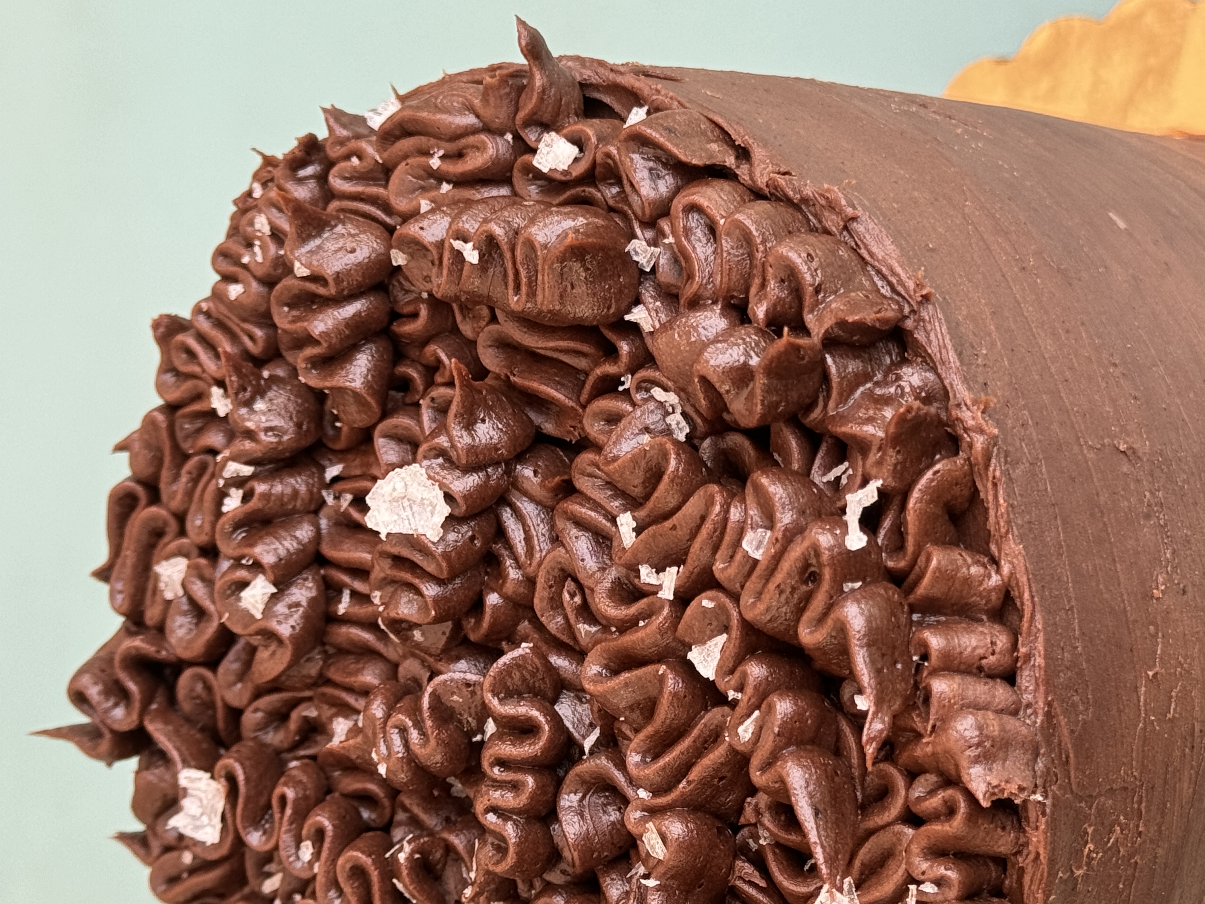 a large chocolate cake