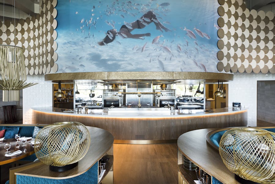 THE COVE AT ATLANTIS, THE BAHAMAS Hours + Location