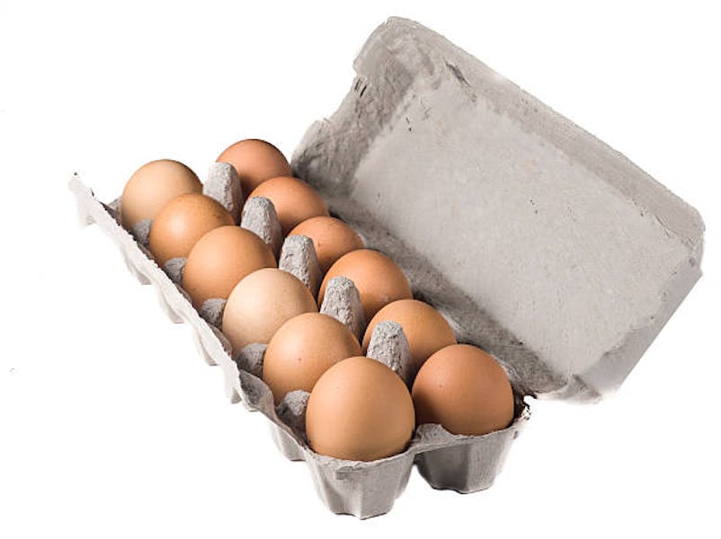 Dozen Eggs EssaBagel 108 w 32