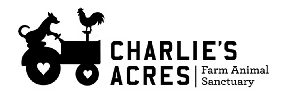 a close up of a logo