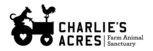 a close up of a logo
