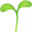 🌱