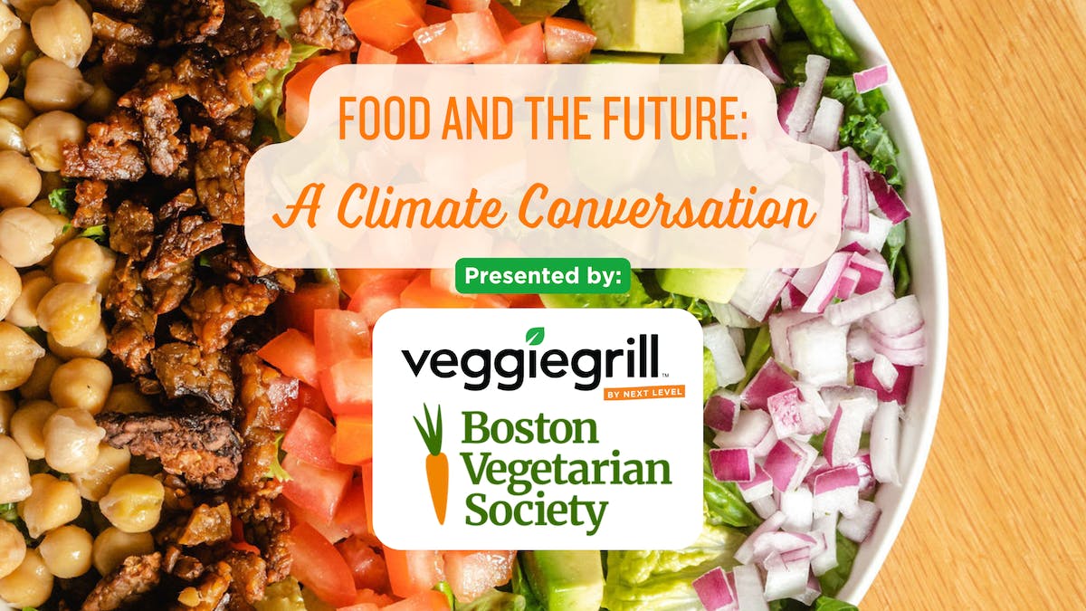 Image of salad with Veggie Grill by Next Level and Boston Vegetarian Society logos, with the copy