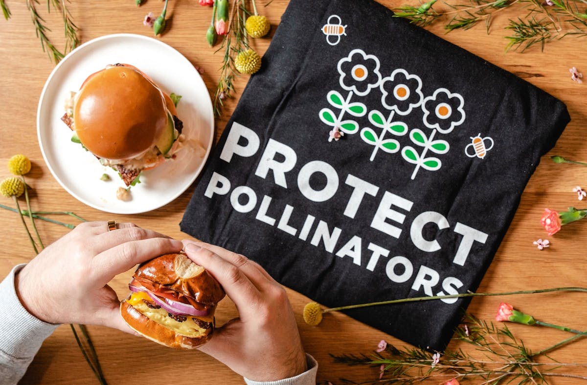 image of pollinator shirt with egg sandwich