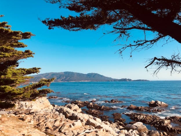 A beautiful beach in Carmel
