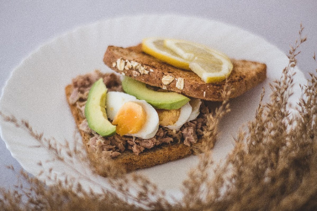 egg and avocado sandwich