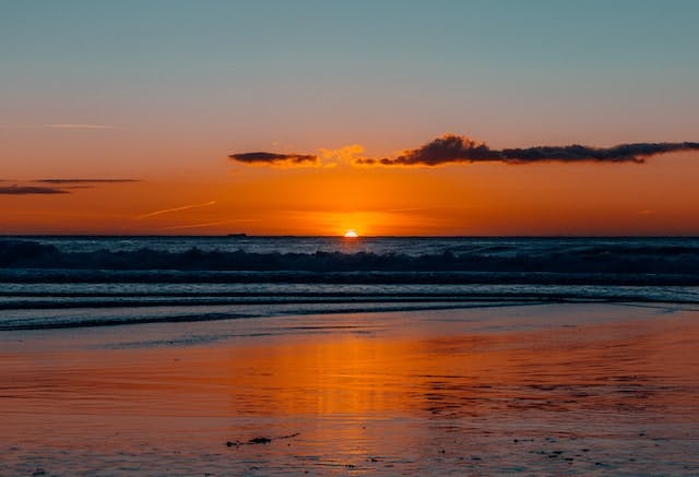 a bunch of food on a table