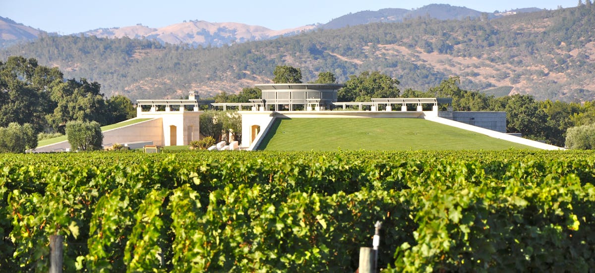 a large green field with a mountain in the background