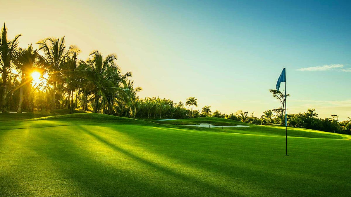 a large green field with trees in the background
