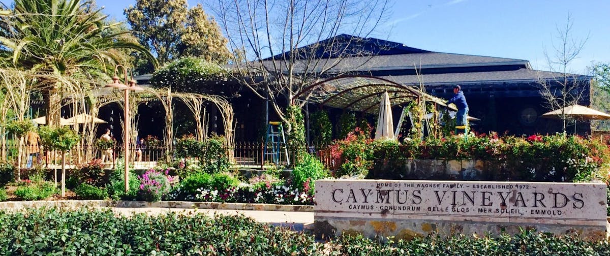 a close up of a flower garden in front of a building