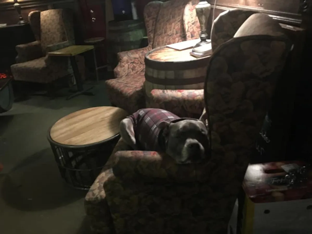 a living room filled with furniture and a dog