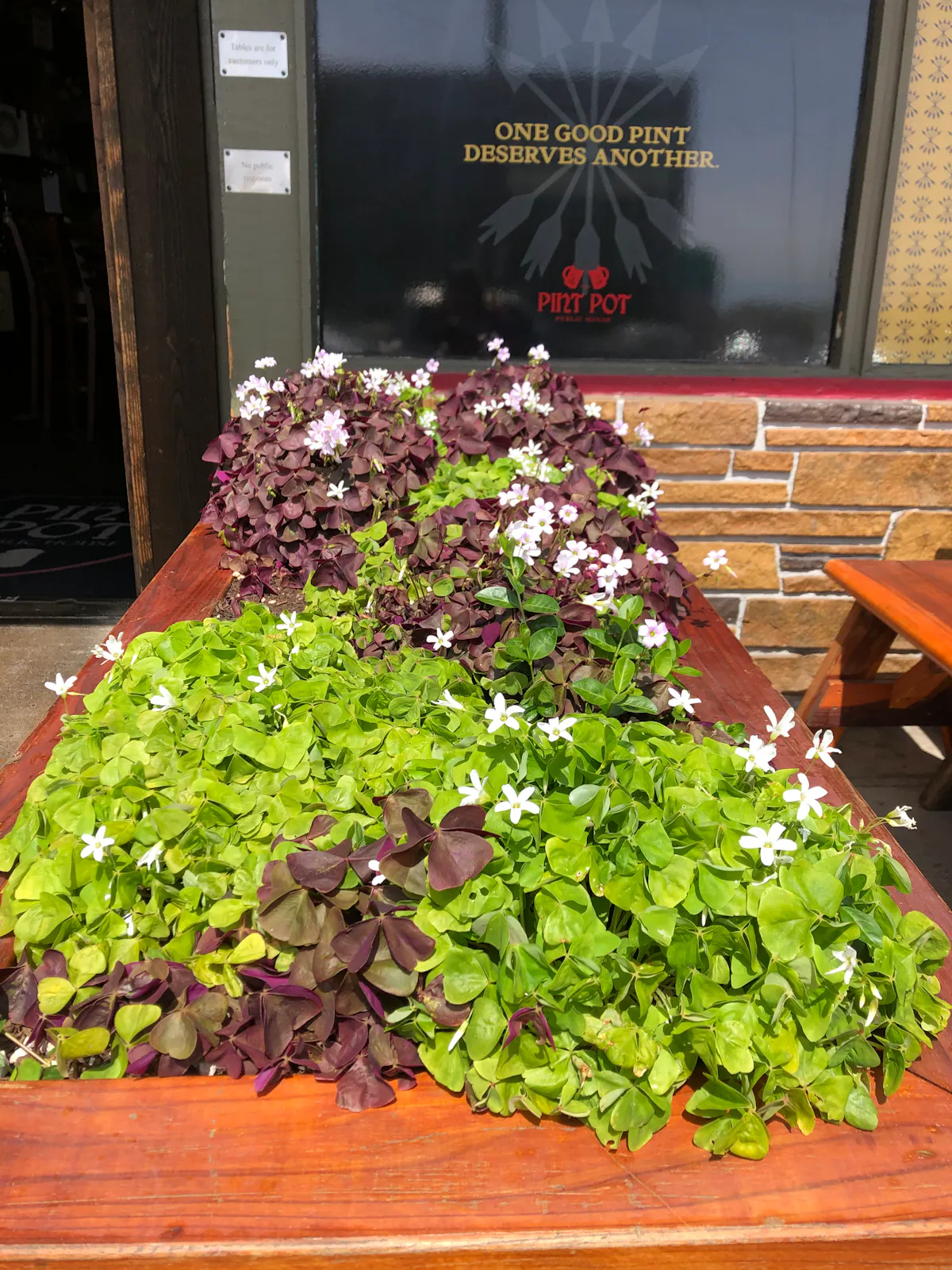 a salad sitting on top of a wooden table