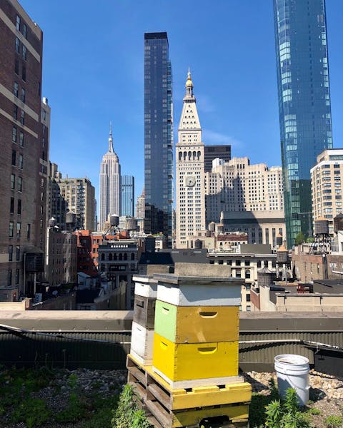 Breads' Honey Breads Bakery Bakery with locations in Union Square
