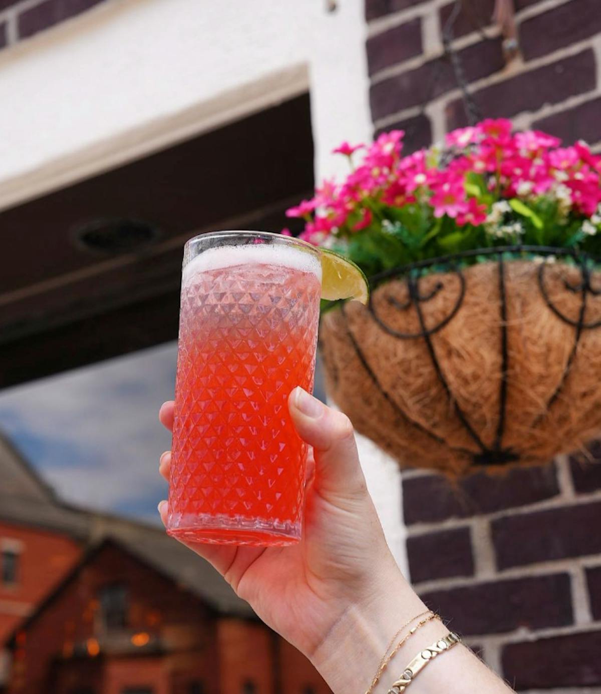 summer dining at harvard gardens beacon hill