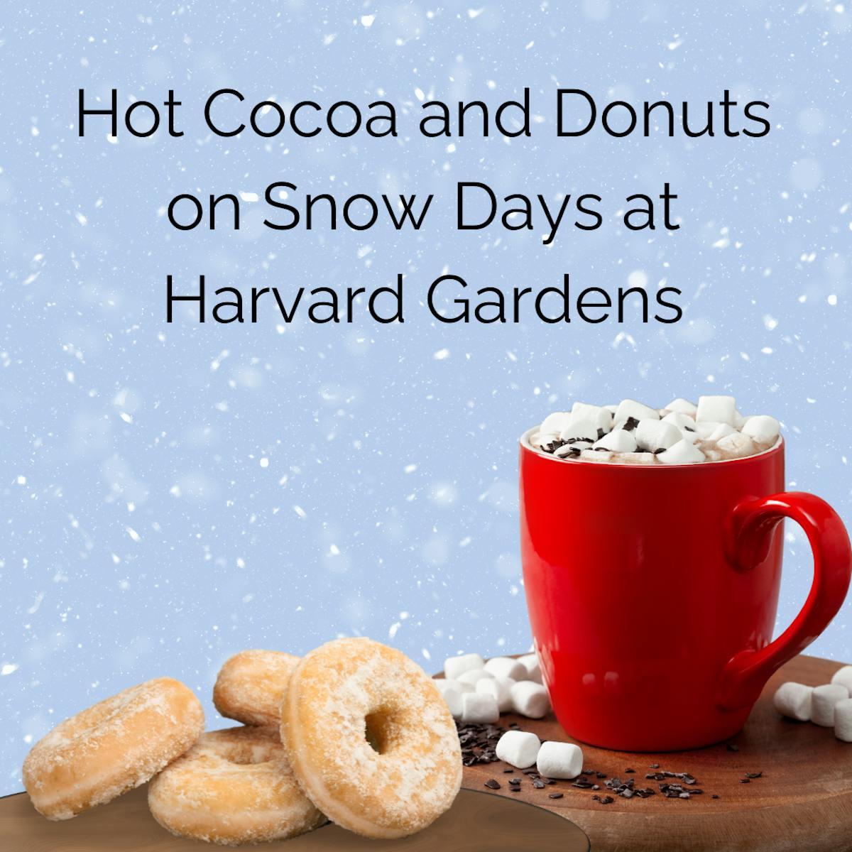 hot chocolate and donuts at harvard gardens on snow days
