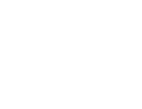 Motorino Pizzeria