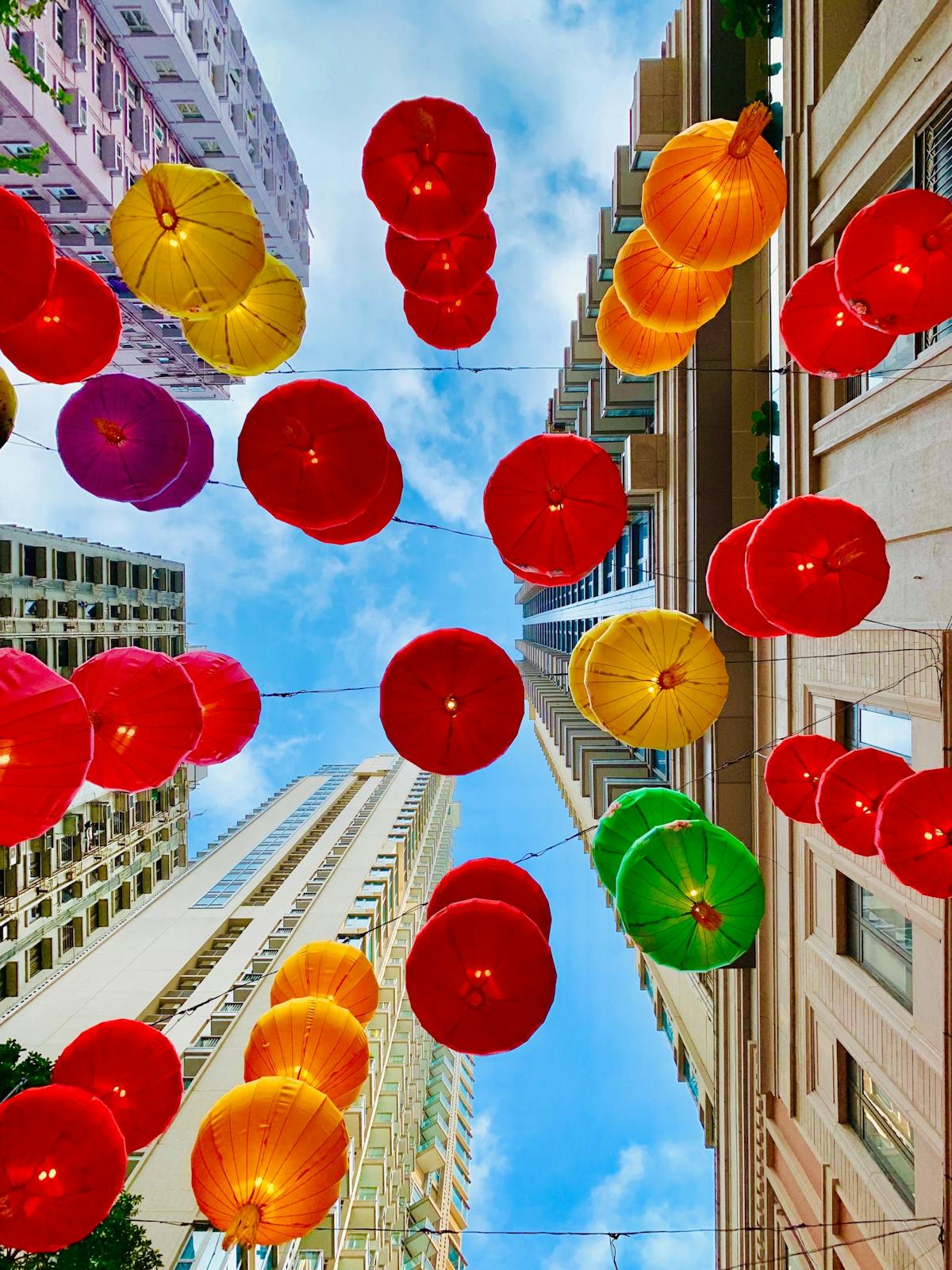 a group of colorful flowers