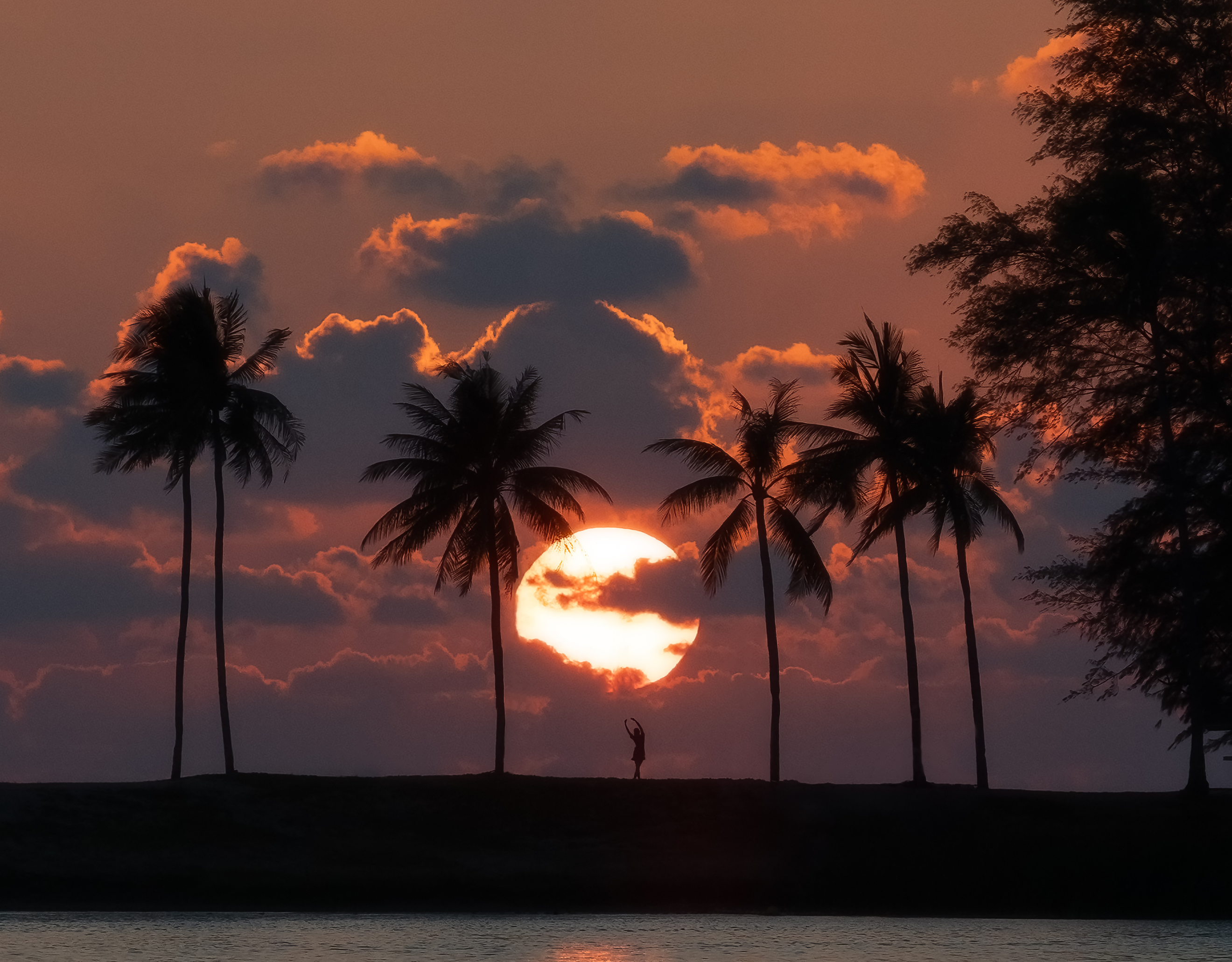 a palm tree in front of a sunset