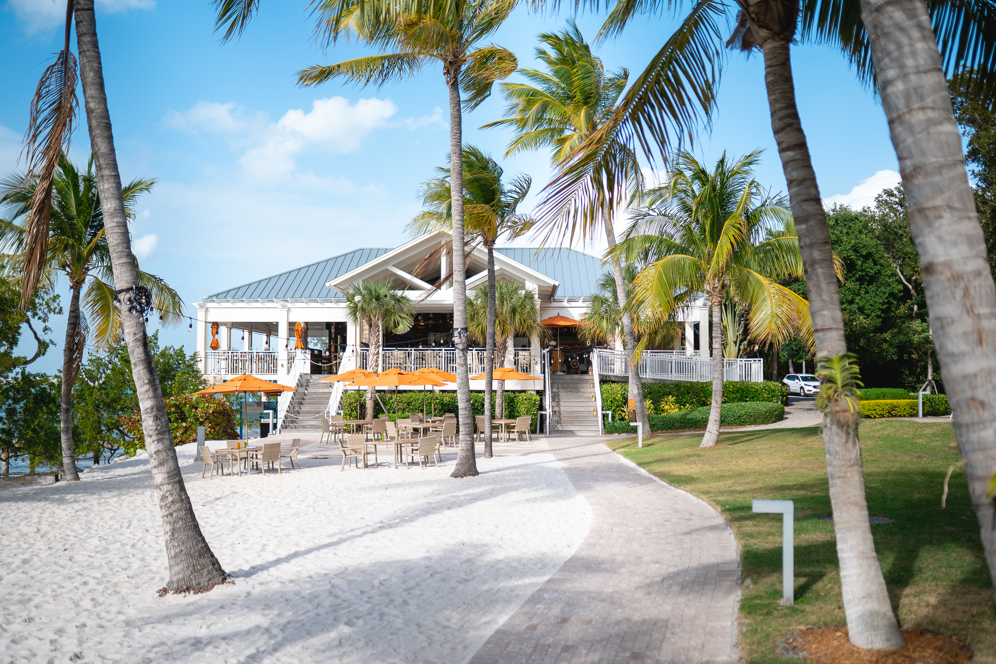 a tree in front of a palm tree
