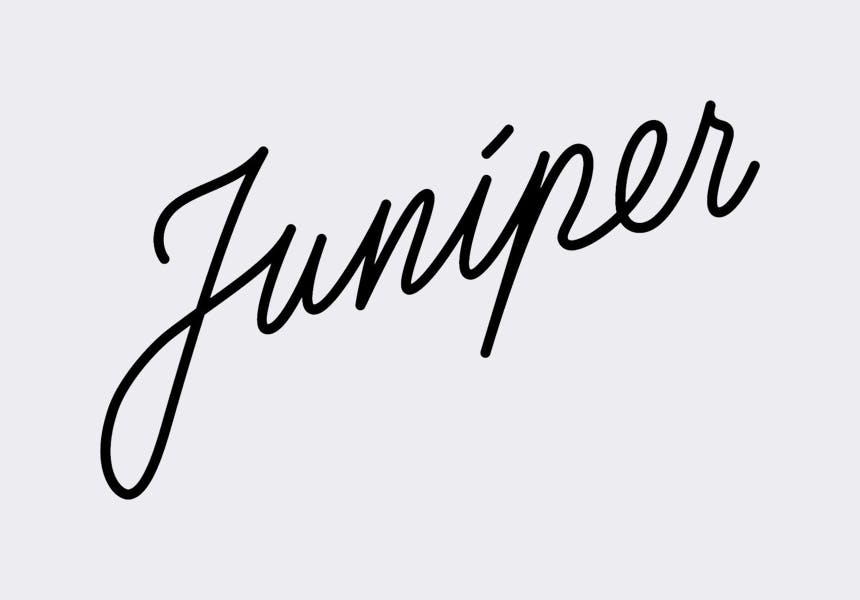 Juniper | Johnson City, TN