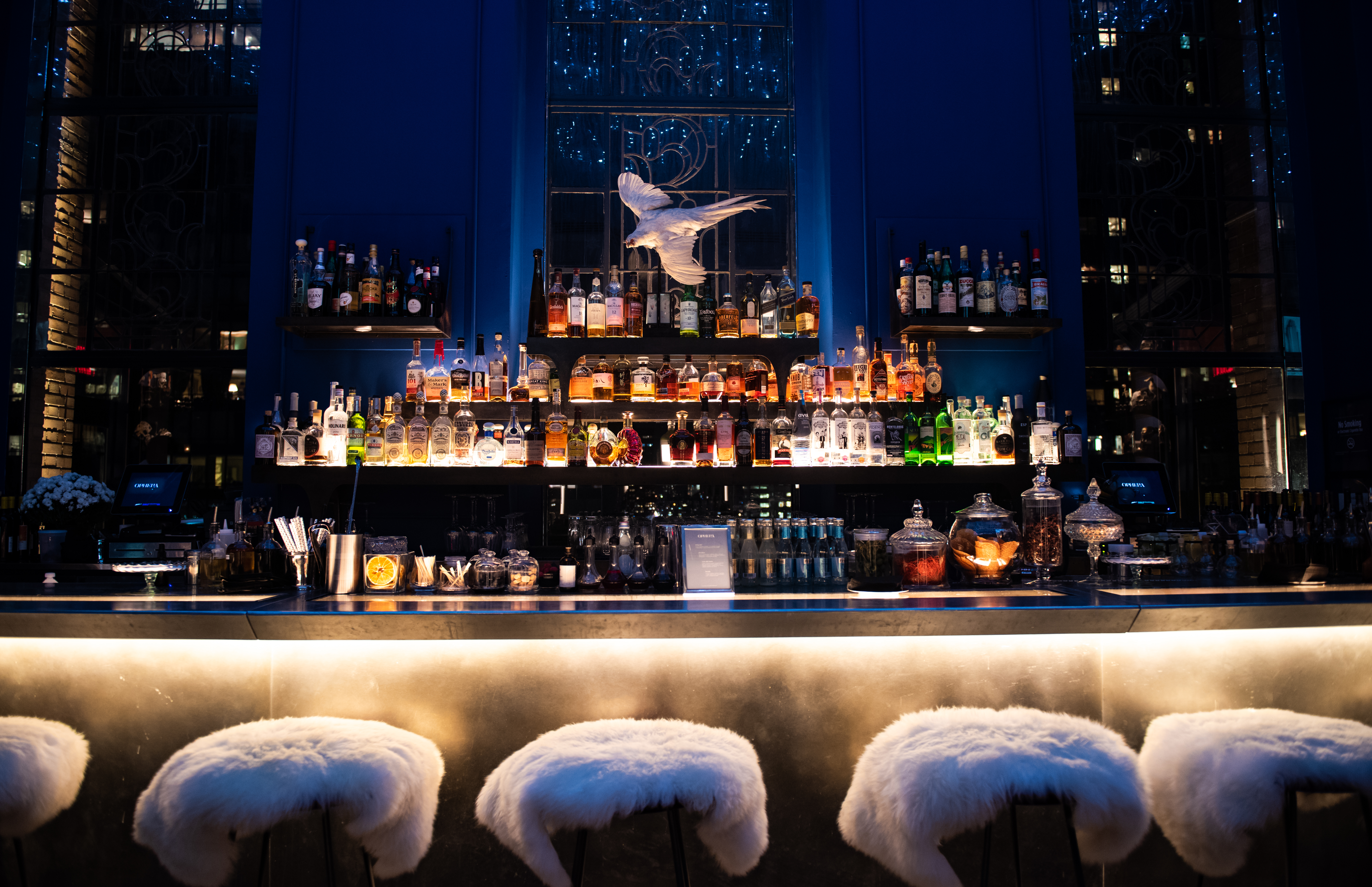 Snow Globe media launch event at Ophelia