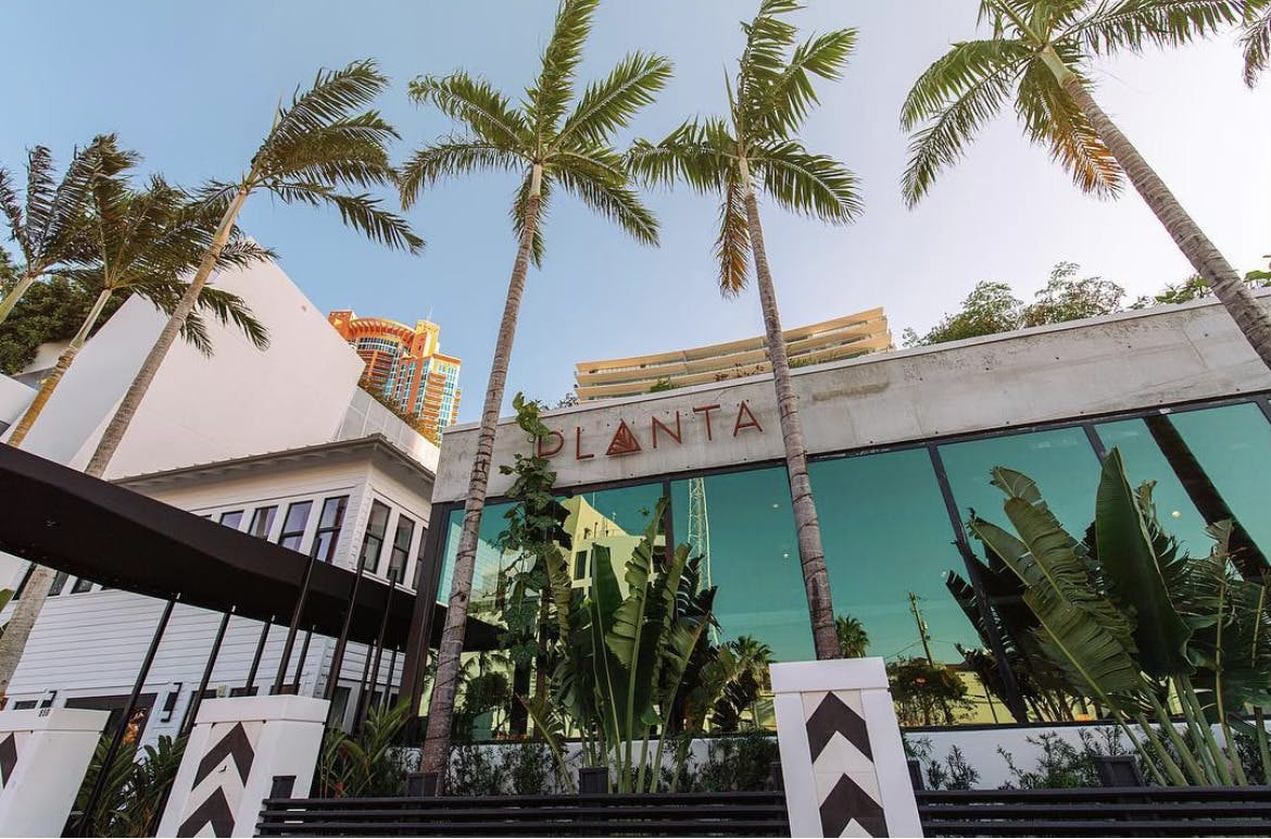 a palm tree in front of a building