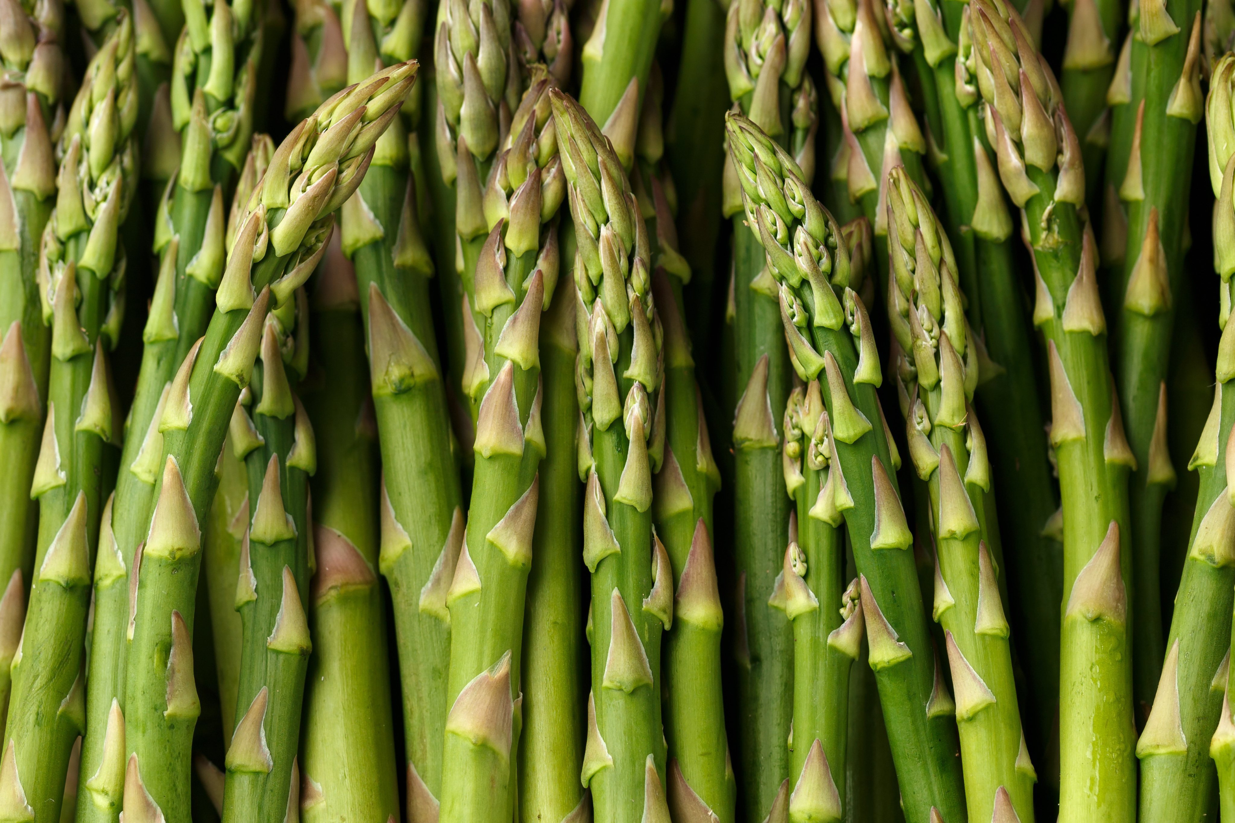 a bunch of asparagus