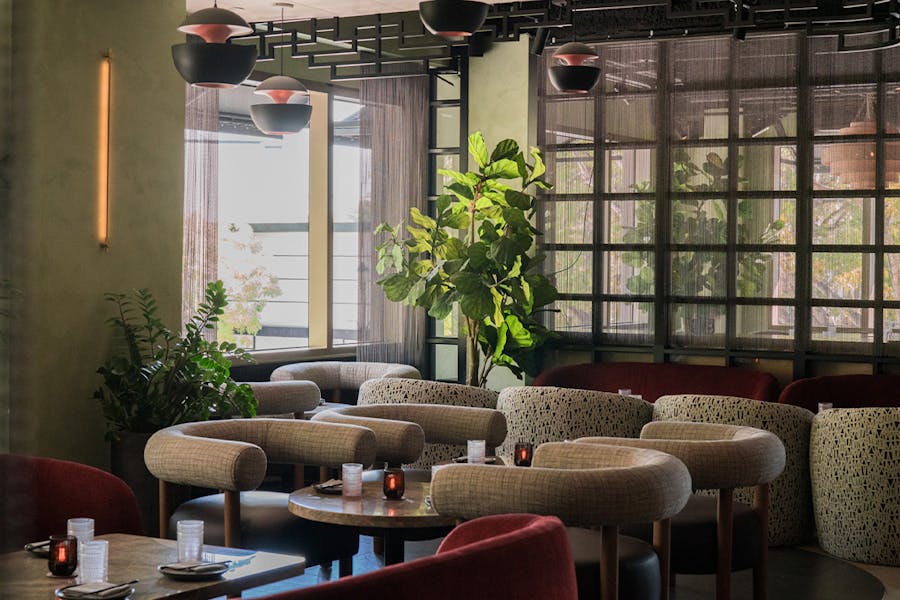 PLANTA Queen Coconut Grove PLANTA Restaurants