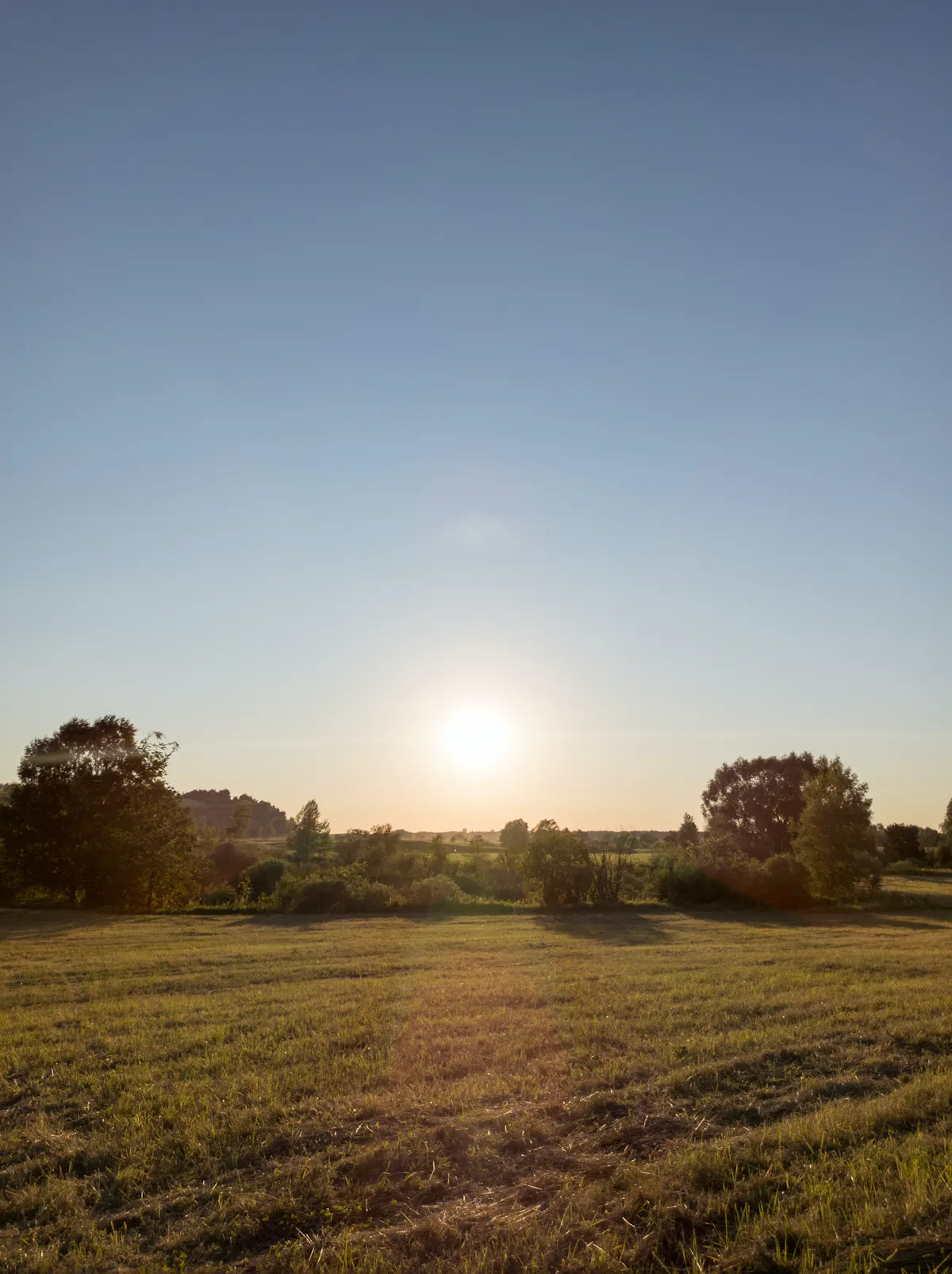 a sunlight view